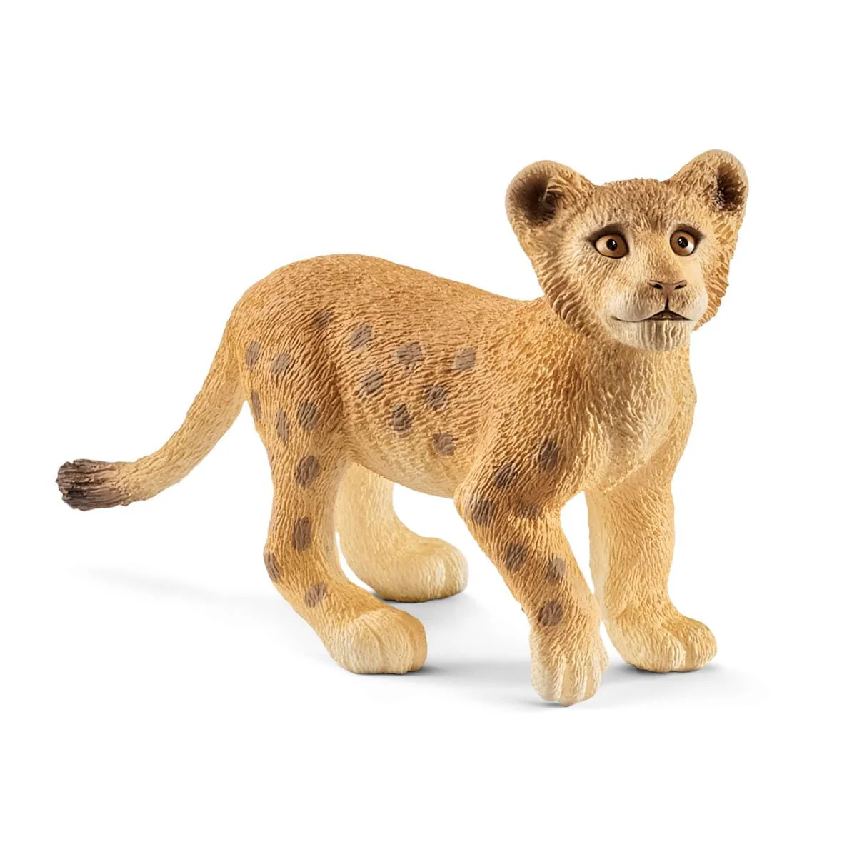 Miniature 1